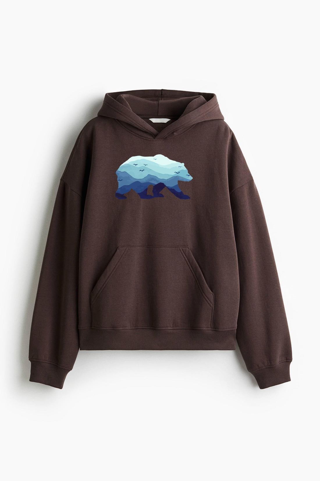 Bear Mountains Grizzly Hiking Camping Loose-Fit Printed Hoodie image 0