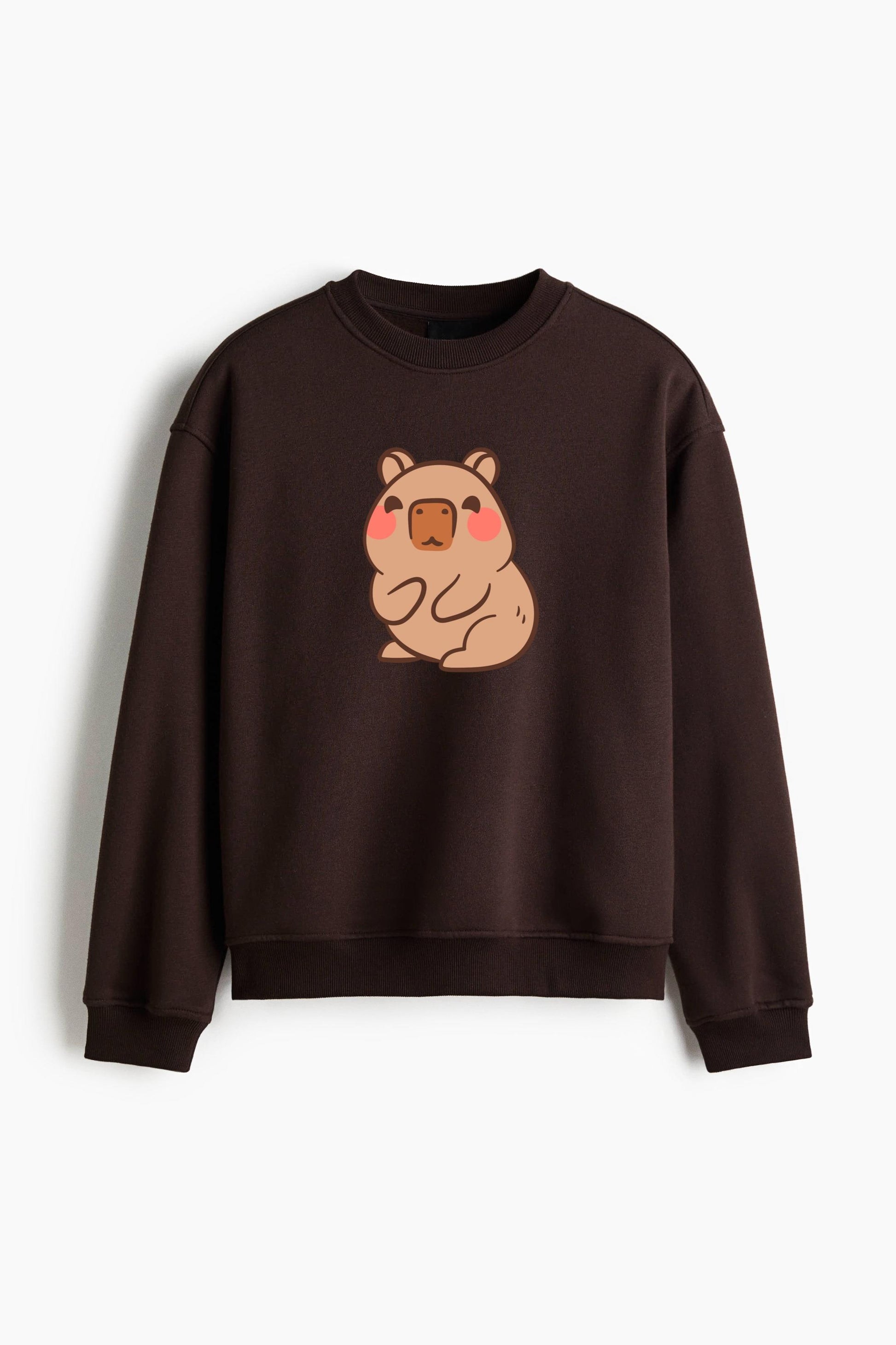 Adorable Cute Bear Illustration Regular Fit Printed Sweatshirt  image 1