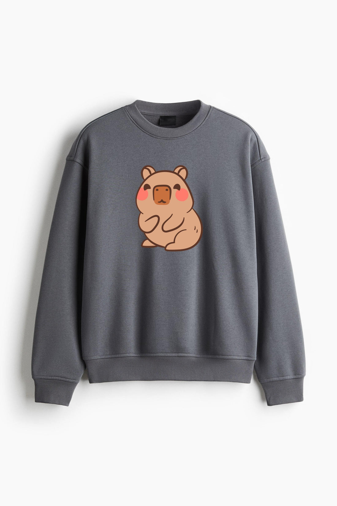 Adorable Cute Bear Illustration Regular Fit Printed Sweatshirt  image 0