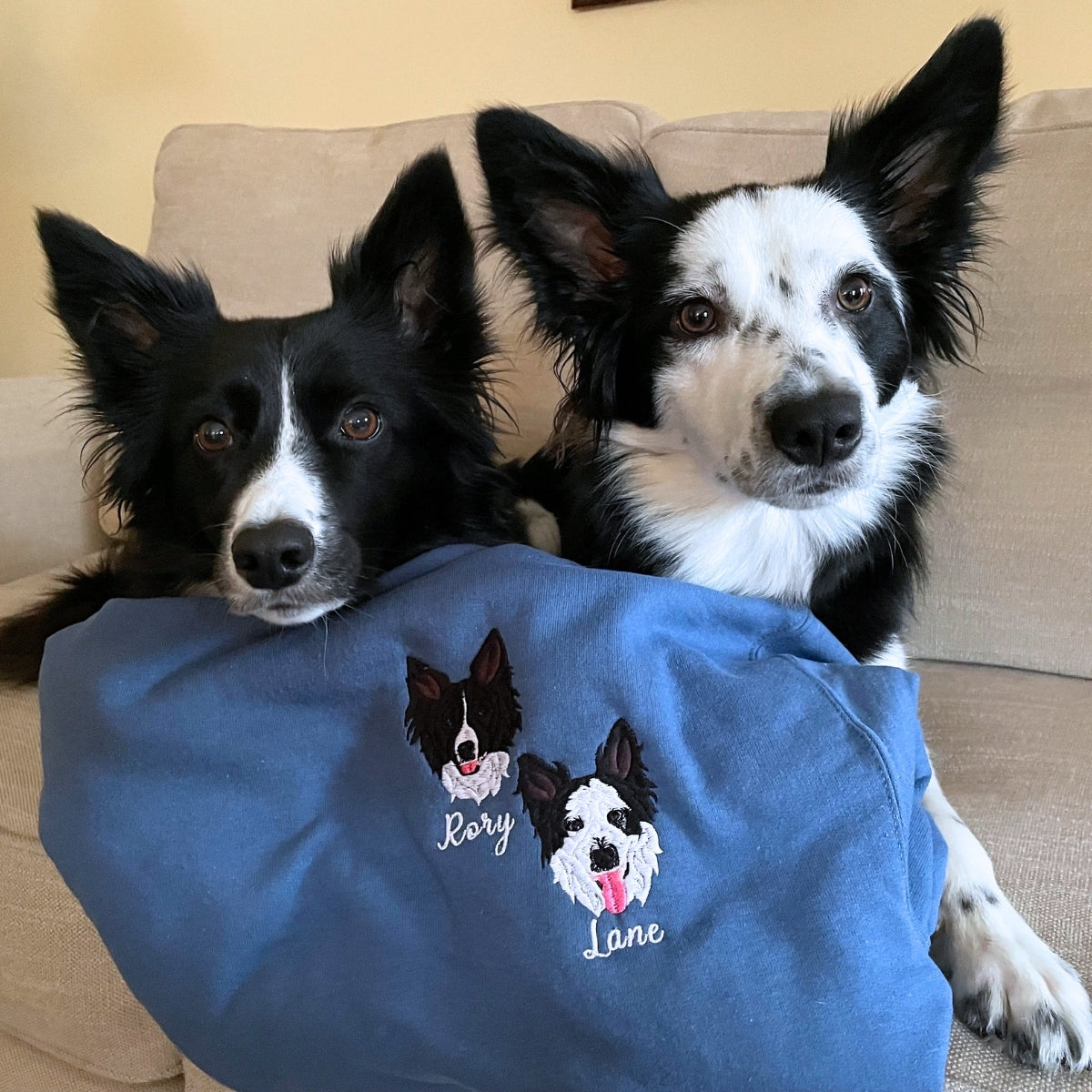 Border Collie Embroidered Sweatshirt | Custom Pet Gift